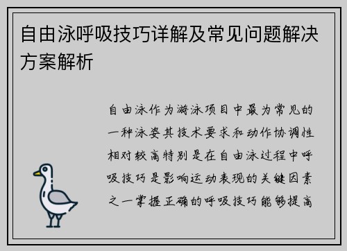 自由泳呼吸技巧详解及常见问题解决方案解析